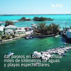 Experiencias únicas en las Bahamas - Bleu&Blanc