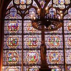 Catedral de Notre dame - Bleu&Blanc