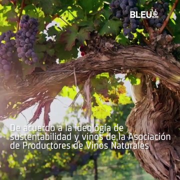 Vinos naturales - Bleu&Blanc