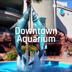 Bares submarinos - Bleu&Blanc