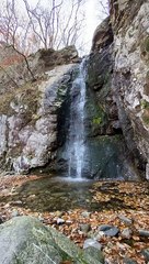Cascades on Stream in Forest