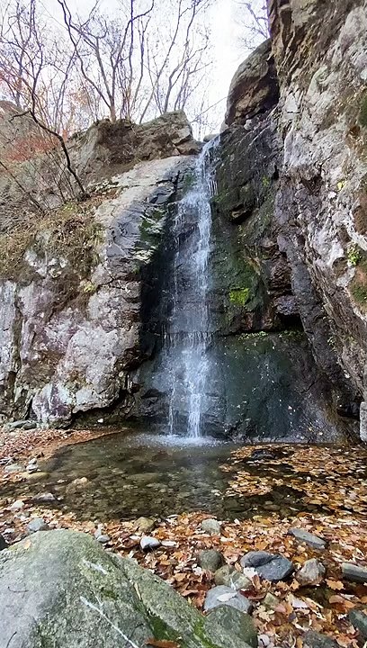 Cascades on Stream in Forest