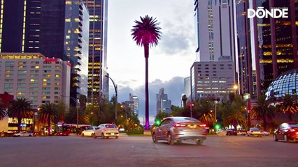Cancelarán las licencias de conductores ebrios en CDMX