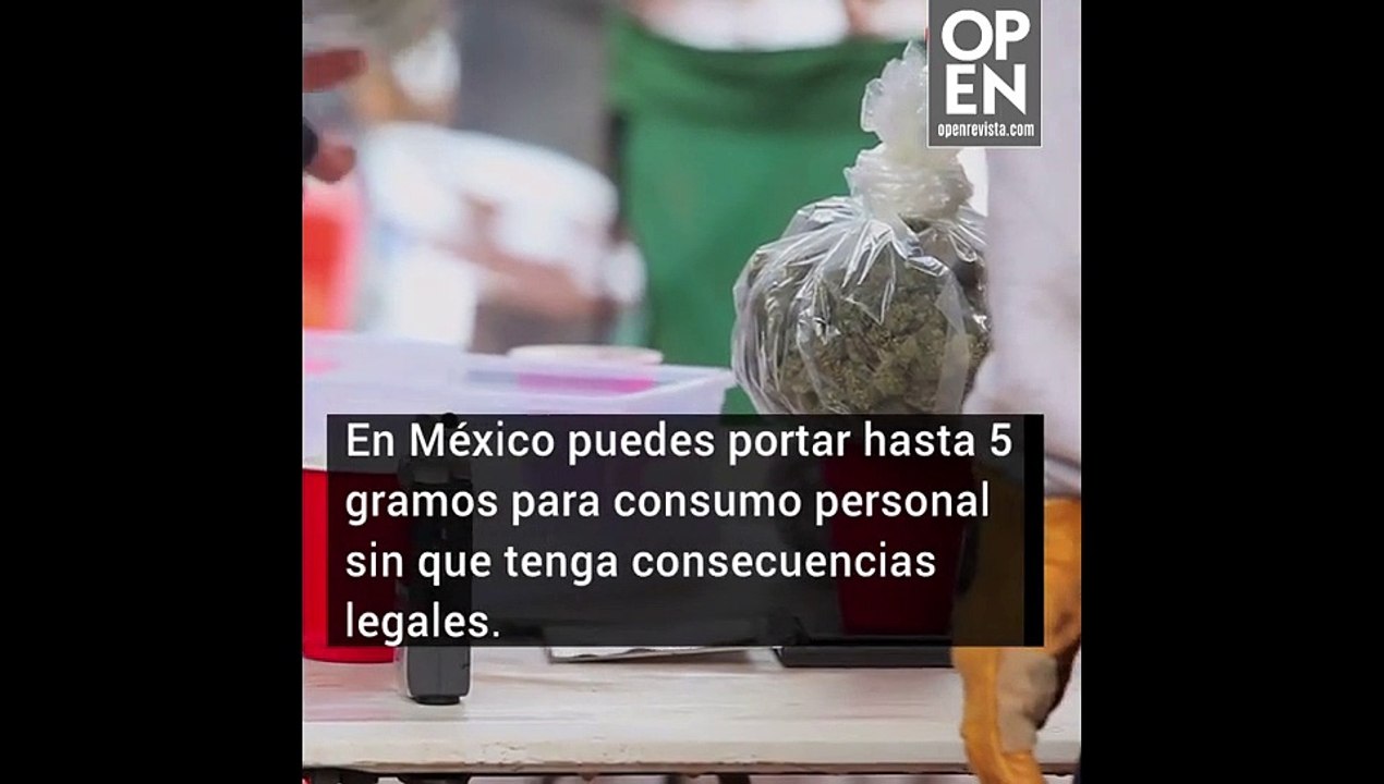 Marihuana En El Mundo