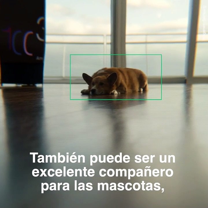 El nuevo gadget que necesitas: BALLIE