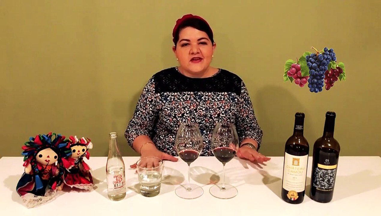 Vinos tintos Mexicanos