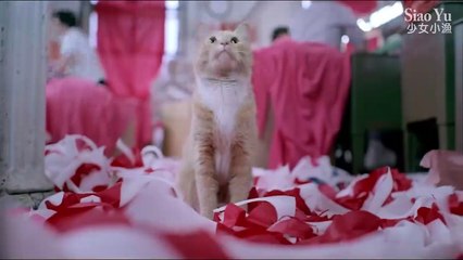 Siao Yu Bande-annonce (EN)