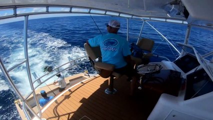 Americas Backyard Carolina Deep Sea Fishing