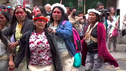 Indígenas de Ecuador piden ejecutar fallos que frenan explotación de recursos