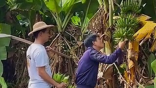 Two Chinese Brother Comedy Video