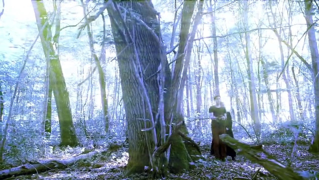 Fluch des Falken Staffel 4 Folge 22 HD Deutsch