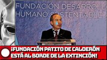 ¡FUNDACIÓN PATITO DE FELIPE CALDERÓN ESTÁ AL BORDE DE LA EXTINCIÓN!