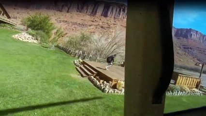 Bear Grylls Stars am Limit Staffel 1 Folge 6 HD Deutsch