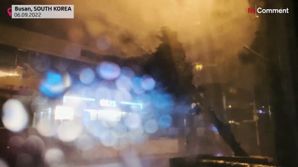 Taifun "Hinnamnor" in Südkorea: Tote, Vermisste, Zerstörung
