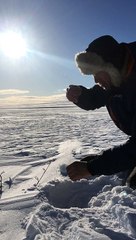 A Big Fish is Pulled from the Ice