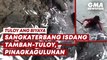 Sangkaterbang isdang tamban-tuloy, pinagkaguluhan | GMA News Feed