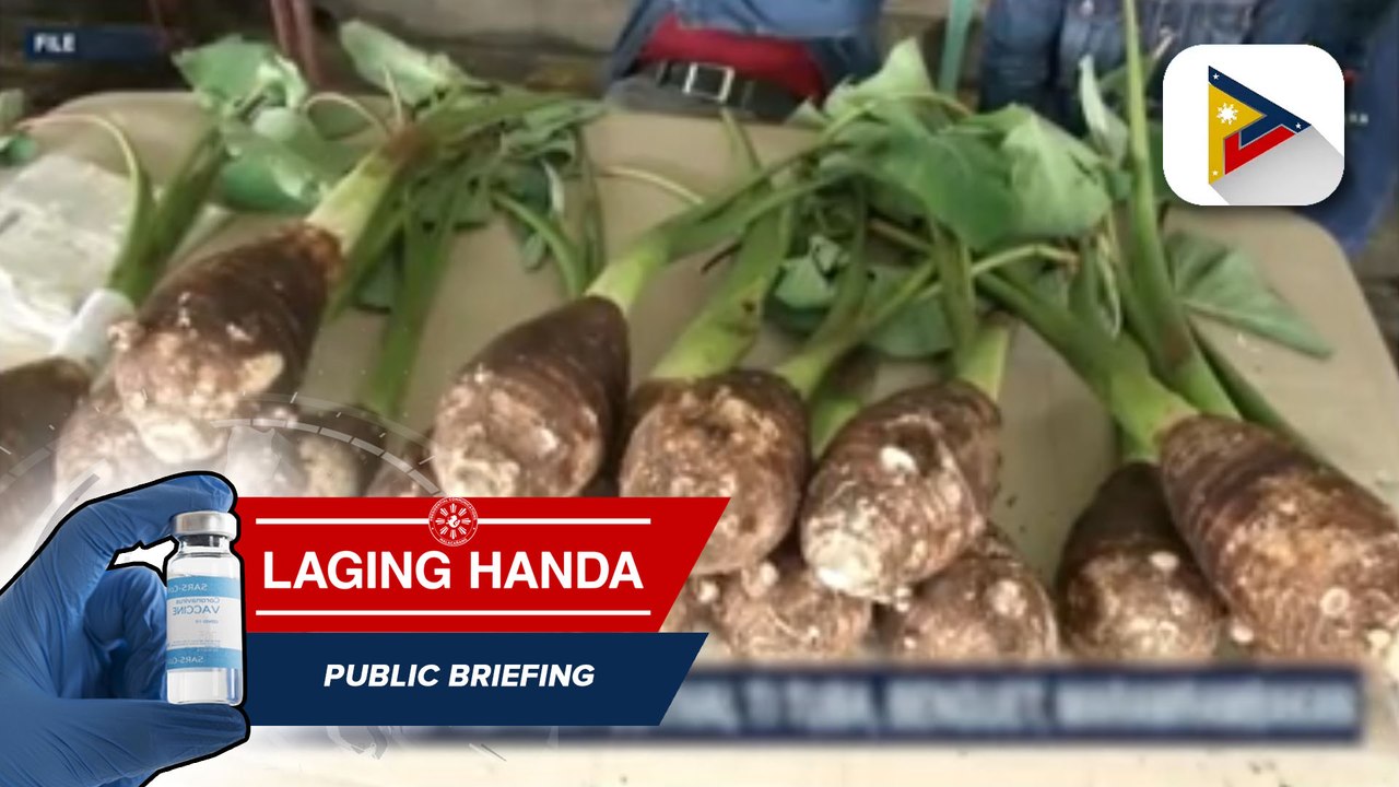 Inaabangan na 7th Ava Festival sa Tuba, Benguet, handa na video Dailymotion