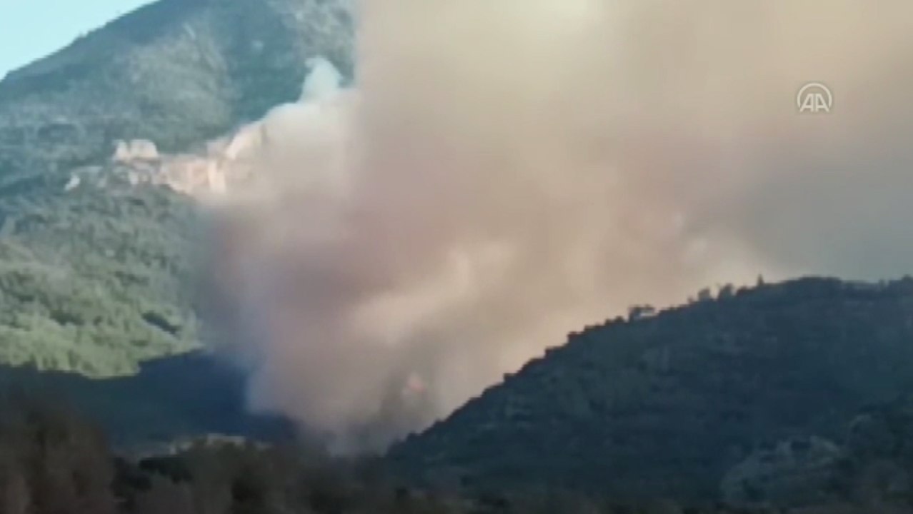 Mersin'de çıkan orman yangınına müdahale ediliyor