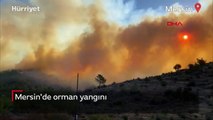 Mersin'de orman yangını