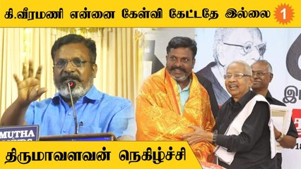 Thirumavalavan Speech | "ஒருநாளும் நான் காயப்படும் வகையில் பேசியதில்லை"