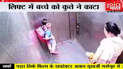 Gaziabad : लिफ्ट में बच्चे को कुत्ते ने काटा, काफी देर उछलता रहा मासूम, VIDEO वायरल