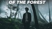 Echoes Of The Forest (Instrumental) - Echoes of the Forest - Soothing Sparrow