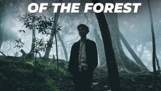 Electronic Ambient (Instrumental) - Echoes of the Forest - Soothing Sparrow
