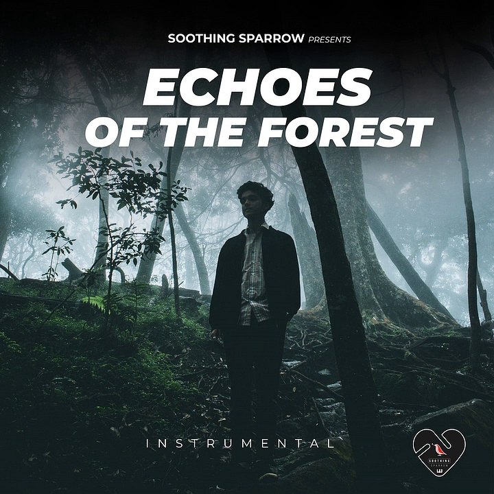 Emotive Harp (Instrumental) - Echoes of the Forest - Soothing Sparrow
