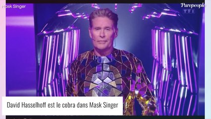 David Hasselhoff filmé ivre et dénudé : les images dévoilées par sa fille au monde entier, un électrochoc