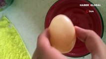 Bu da oldu! Yumurta içinde yumurta çıktı ve...