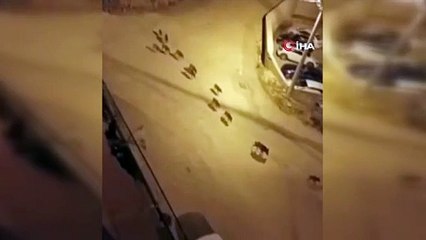 Görüntüler Bursa’dan... İlçe merkezine indi