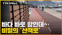 [자막뉴스] 바다 바로 앞인데? 태풍 막은 산책로의 비밀 / YTN