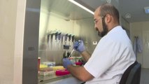 Türkiye'de insanları enfekte edebilen kene kaynaklı yeni bir bakteri görüldü