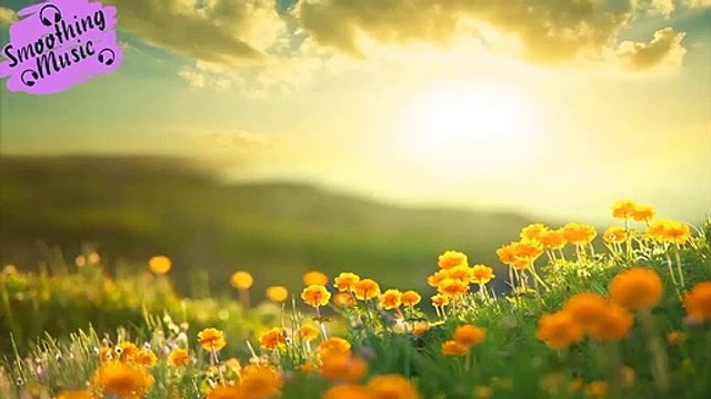 Relaxing Music with Birds Singing - Beautiful Piano Music & Guitar Music by Soothing Relaxation