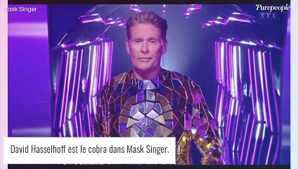 David Hasselhoff est marié à une femme de 28 ans sa cadette
