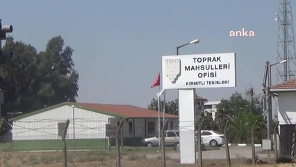 Osmaniyeli Mısır Üreticisi: Köyümüzde Kurutma Tesisi Olduğu Halde Açılmadı ve Alım da Yapmadı. Çiftçi Olarak Tüccarlara Mahkum Olduk