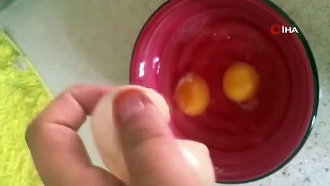 Yumurtadan öyle bir şey çıktı ki... Yumurta mı tavuktan, tavuk mu yumurtadan tartışması bitti!