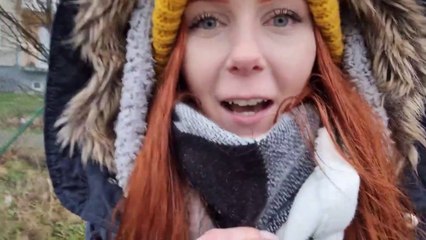 Flat tour - Little Bee