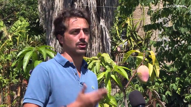 Agricultores italianos convertem-se aos frutos tropicais