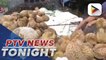 PH likely to start durian exports to China this year