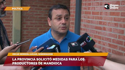 La Provincia solicitó medidas para los productores de mandioca