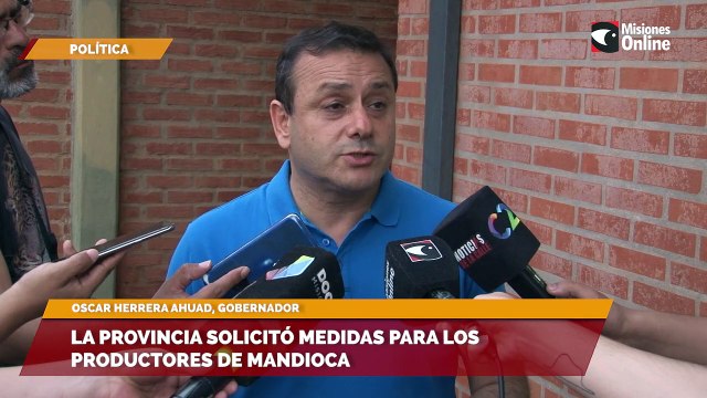La Provincia solicitó medidas para los productores de mandioca