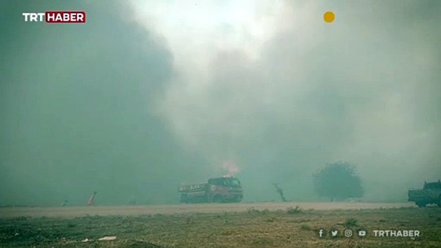 Manisa'da iki ayrı noktada orman yangını