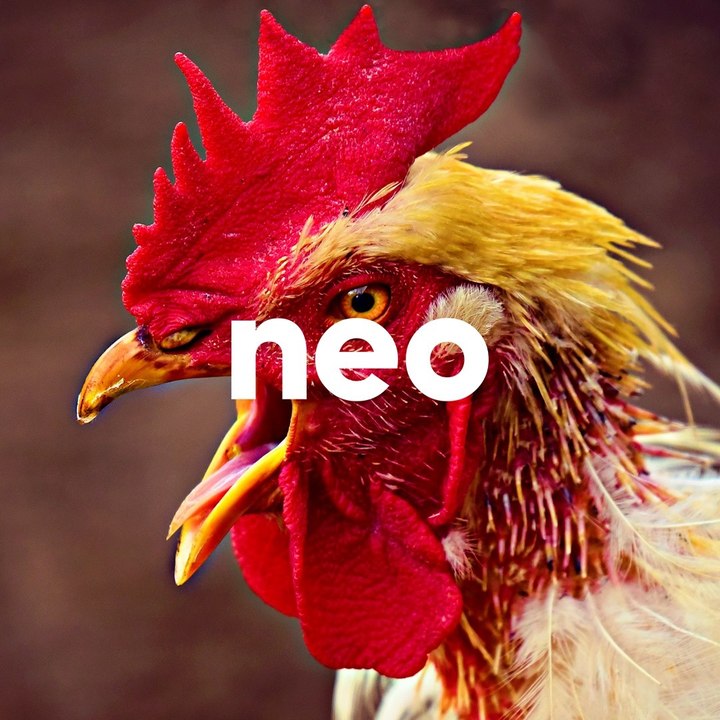 Pourquoi le coq est l'un des emblèmes de la France ?