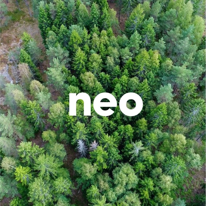 La forêt d'Orléans, plus grande forêt domaniale de France