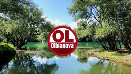 PASSAGGI A LIVELLO PER SEMPRE