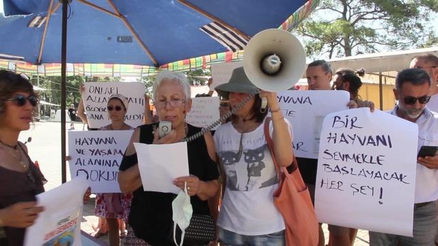 Muğla yerel haberleri | Muğla Akyaka'da Hayvanseverler Zehirlenen Kediler İçin Eylem Yaptı
