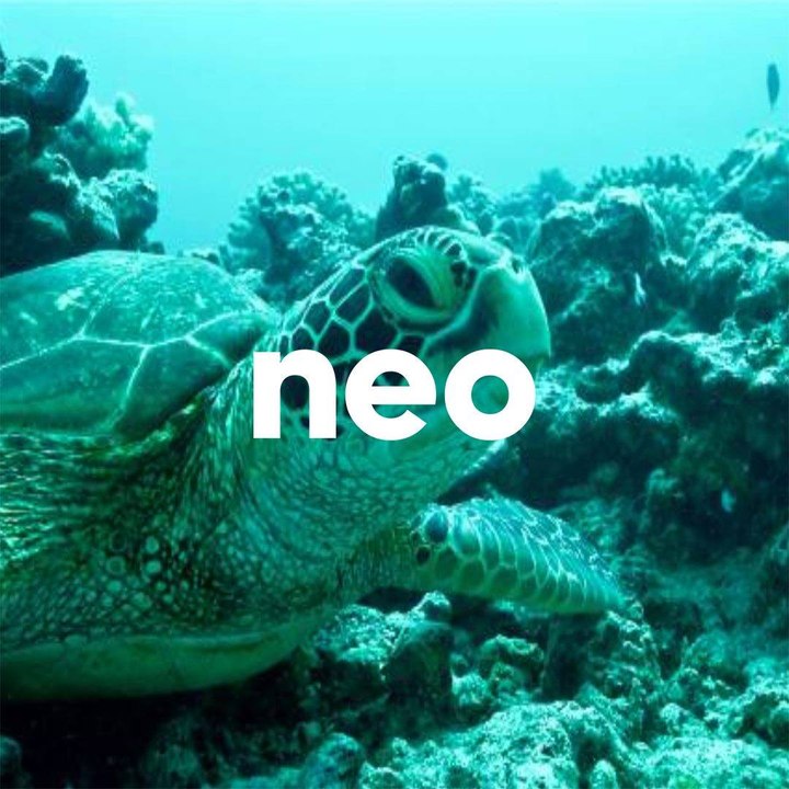 Tiputa : le paradis des plongeurs