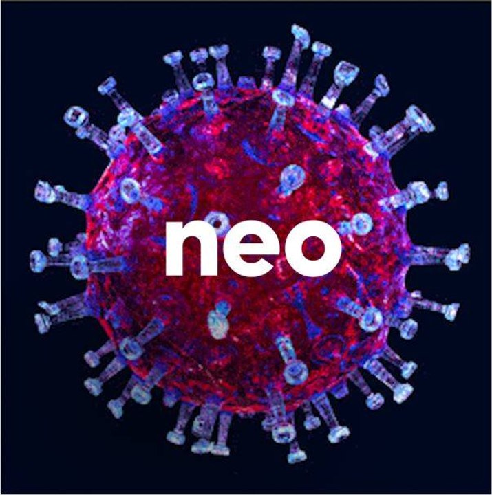 Ils sont cobayes pour le vaccin anti-covid