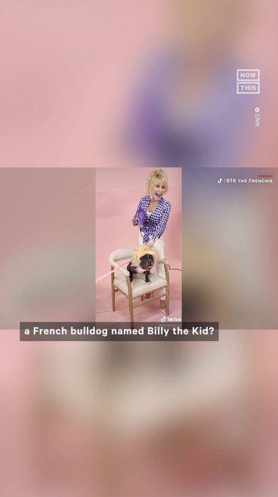 Dolly Parton Launches 'Doggy Parton' Clothing Line